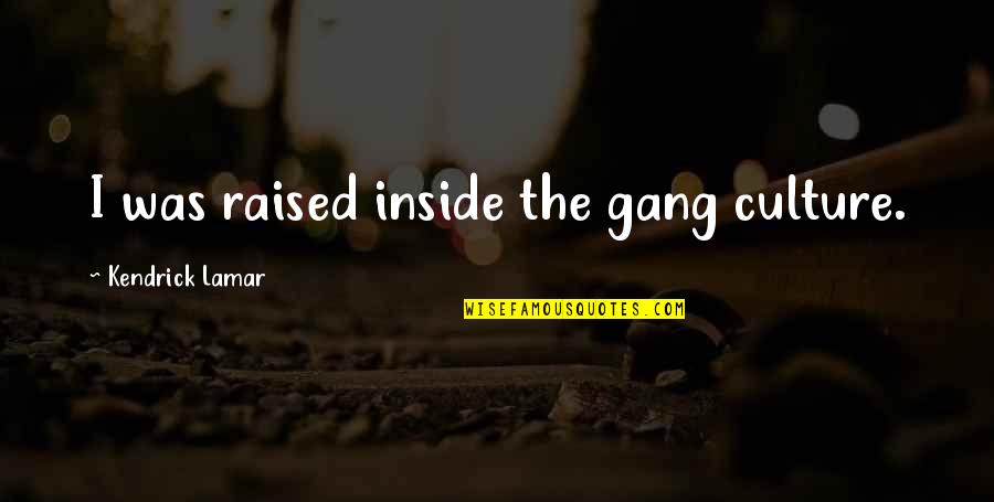 Antichambre En Quotes By Kendrick Lamar: I was raised inside the gang culture. Antichambre En Quotes By Kendrick Lamar: I was raised inside the gang culture.