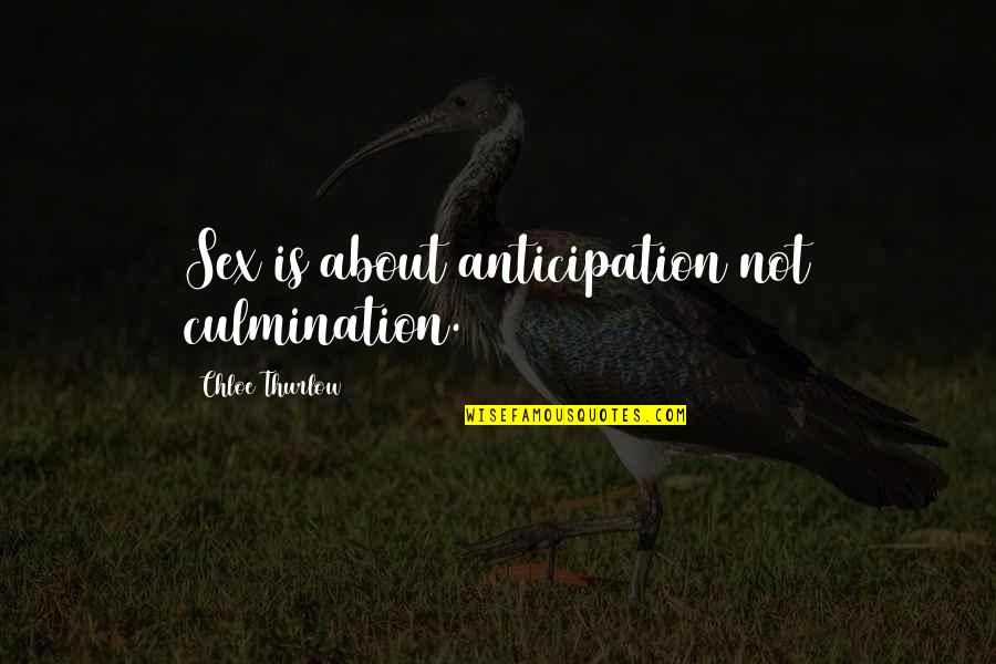 Anticipation Quotes By Chloe Thurlow: Sex is about anticipation not culmination.
