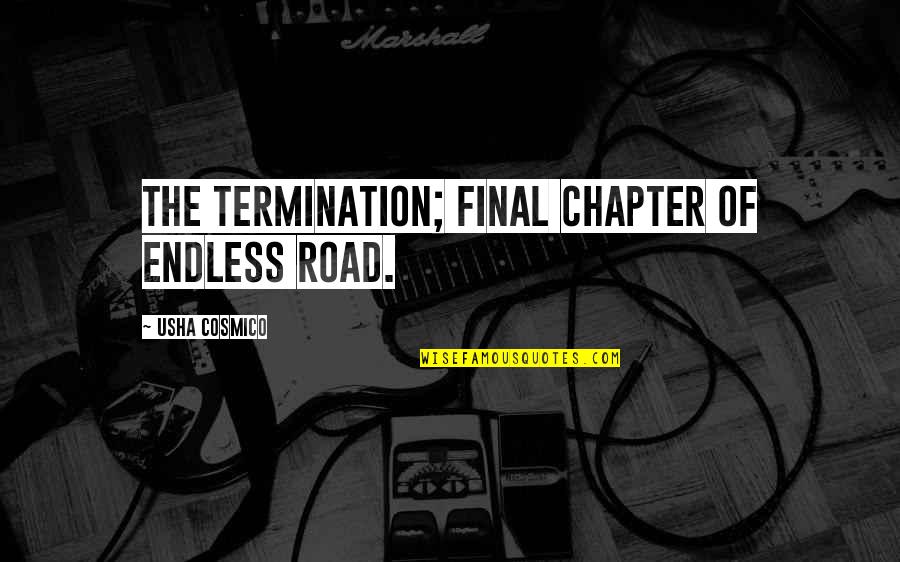 Anticlericalism Quotes By Usha Cosmico: The termination; final chapter of endless road.