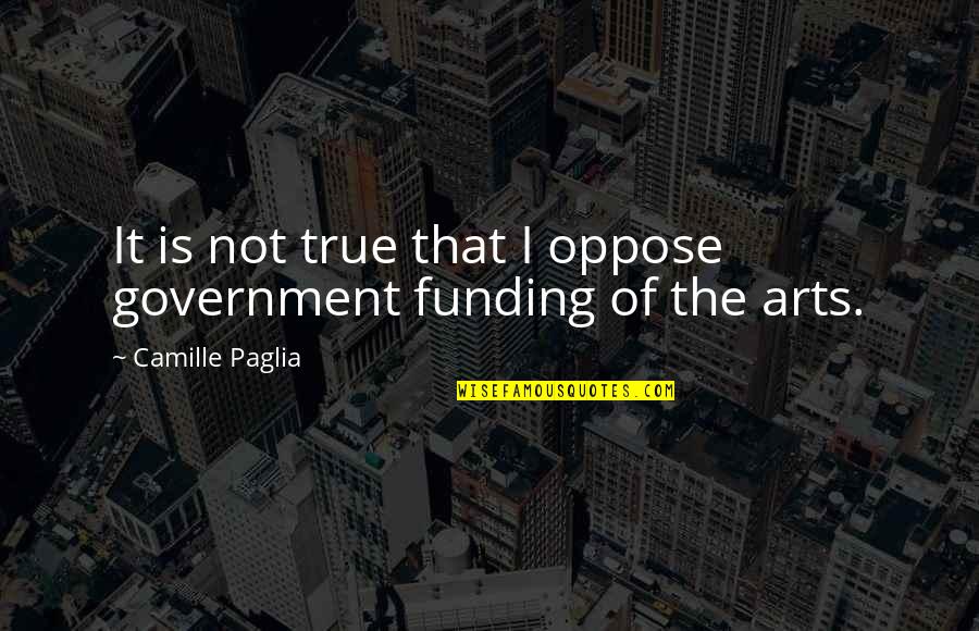 Antidemocratic Quotes By Camille Paglia: It is not true that I oppose government Antidemocratic Quotes By Camille Paglia: It is not true that I oppose government