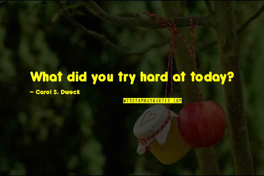 Antidiabeticos Quotes By Carol S. Dweck: What did you try hard at today?