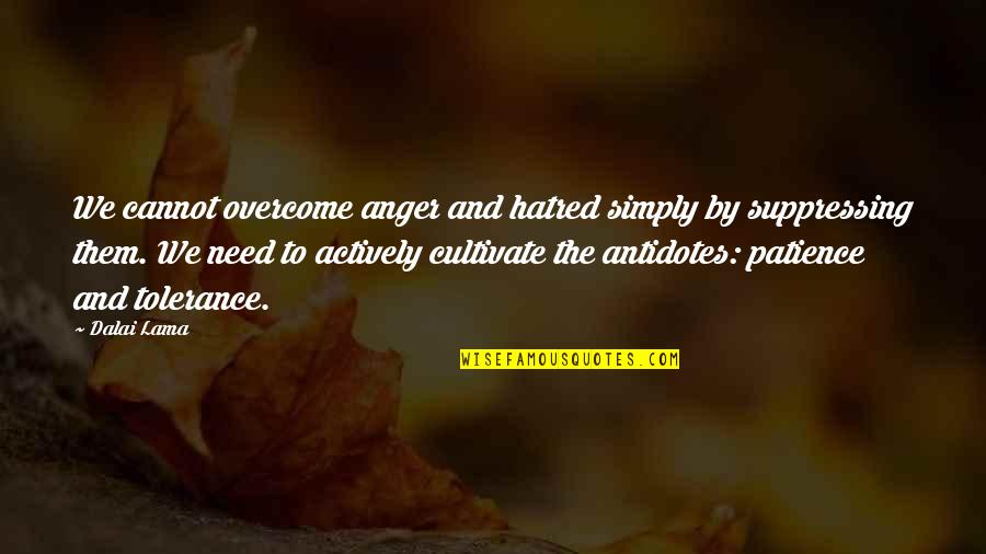 Antidotes Quotes By Dalai Lama: We cannot overcome anger and hatred simply by