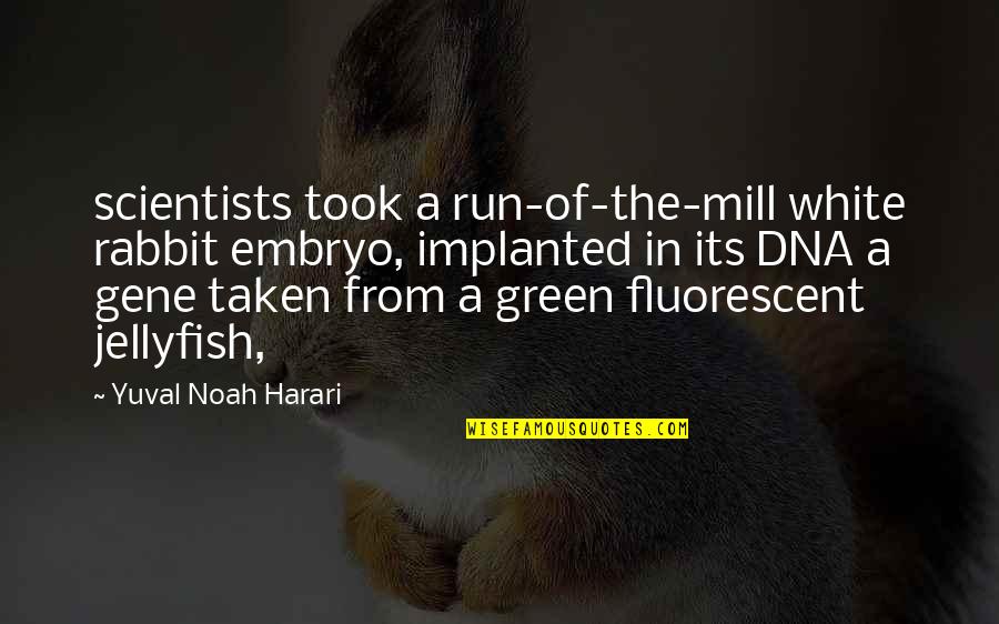 Antigone Scene 1 Quotes By Yuval Noah Harari: scientists took a run-of-the-mill white rabbit embryo, implanted Antigone Scene 1 Quotes By Yuval Noah Harari: scientists took a run-of-the-mill white rabbit embryo, implanted