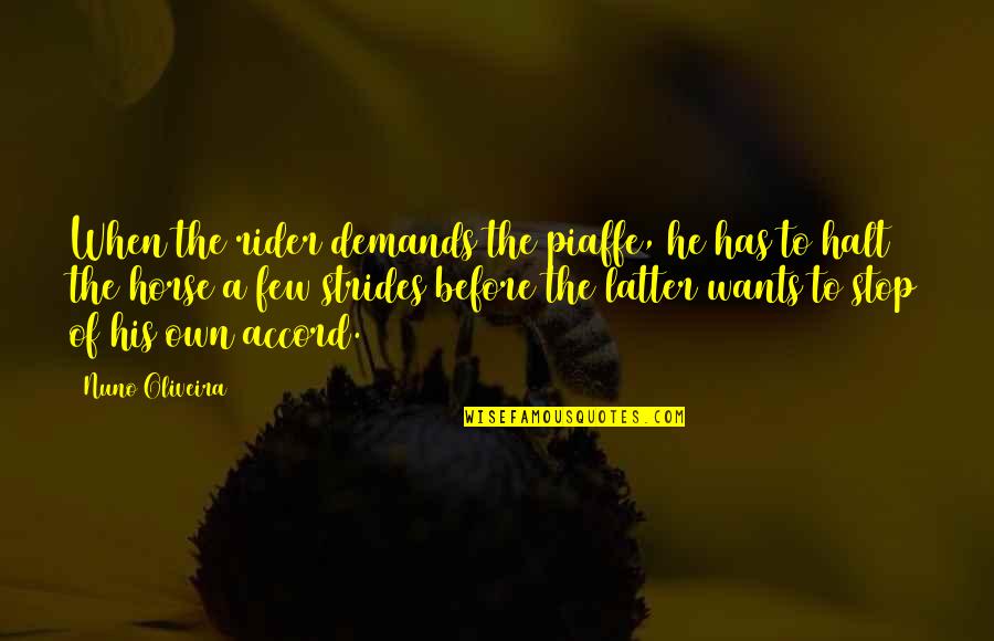 Antigoni Tsamparlis Quotes By Nuno Oliveira: When the rider demands the piaffe, he has Antigoni Tsamparlis Quotes By Nuno Oliveira: When the rider demands the piaffe, he has