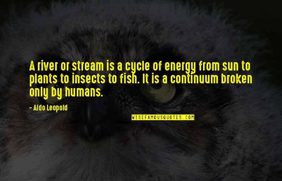 Antikythera Pronunciation Quotes By Aldo Leopold: A river or stream is a cycle of Antikythera Pronunciation Quotes By Aldo Leopold: A river or stream is a cycle of