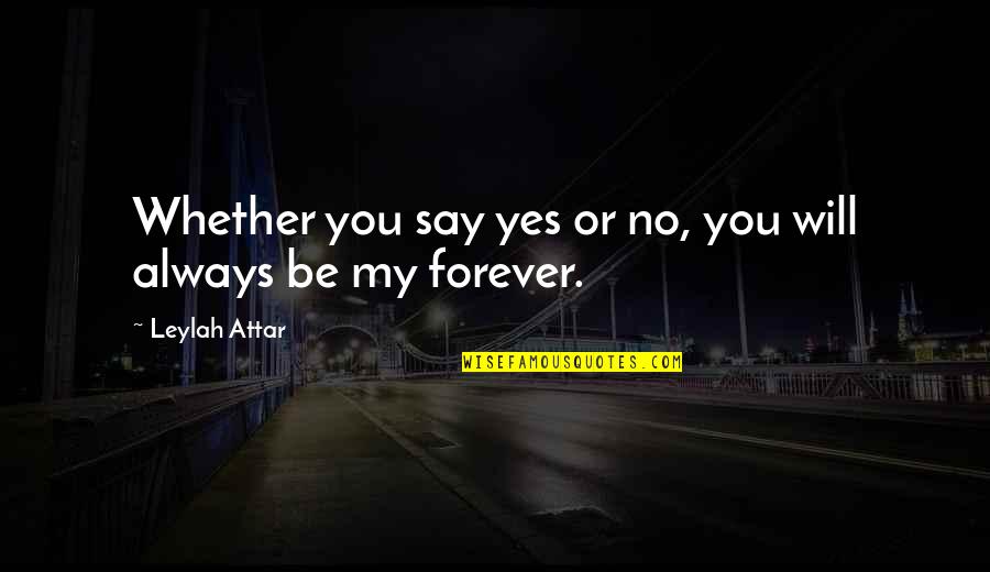 Antimacassared Quotes By Leylah Attar: Whether you say yes or no, you will