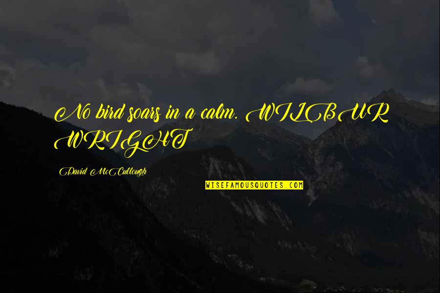 Antimonio Wikipedia Quotes By David McCullough: No bird soars in a calm. WILBUR WRIGHT