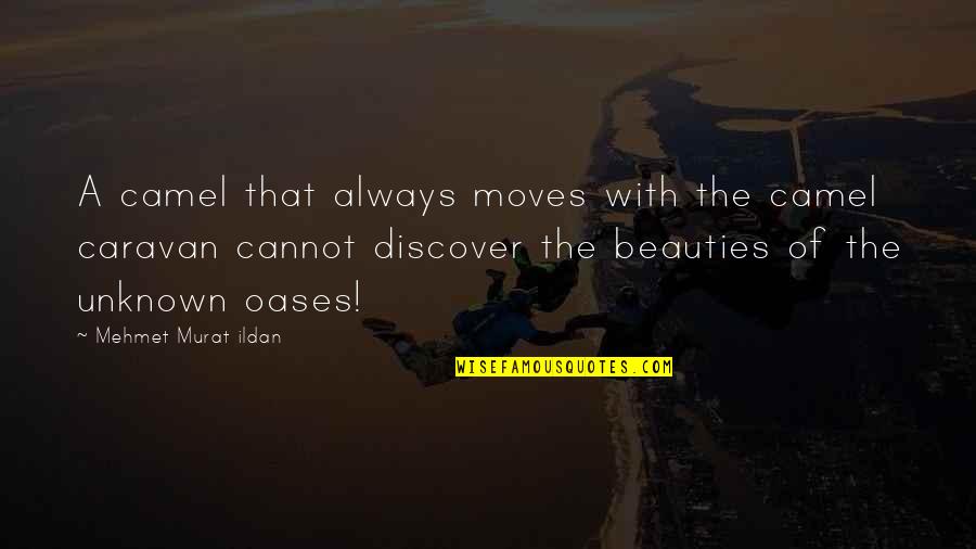 Antinaturalist Quotes By Mehmet Murat Ildan: A camel that always moves with the camel