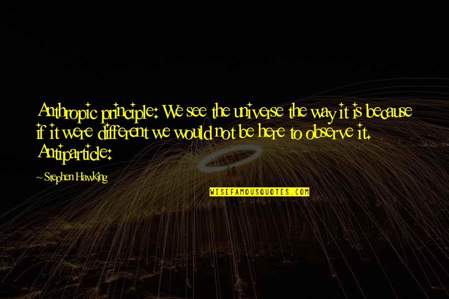 Antiparticle Quotes By Stephen Hawking: Anthropic principle: We see the universe the way