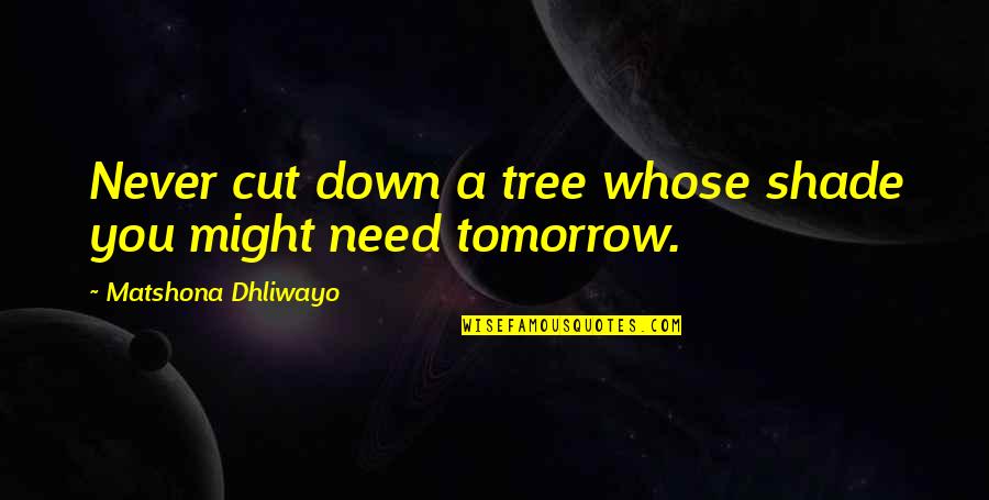 Antipathies Crossword Quotes By Matshona Dhliwayo: Never cut down a tree whose shade you