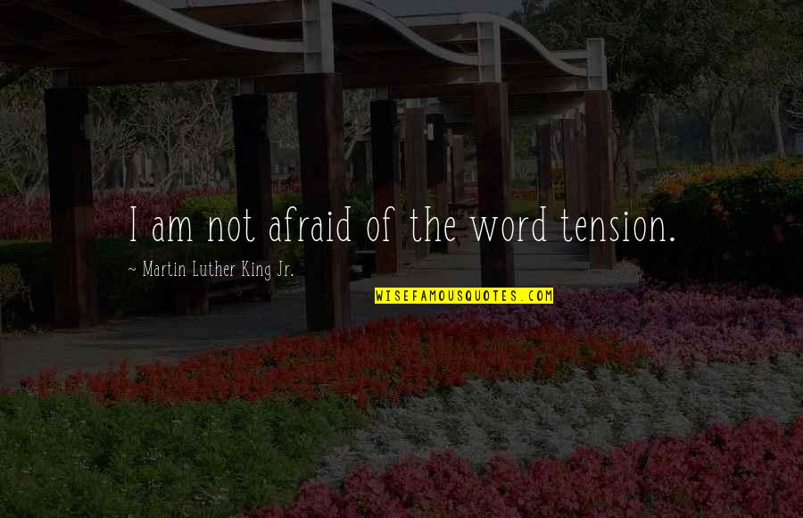 Antisemitismo Que Quotes By Martin Luther King Jr.: I am not afraid of the word tension.
