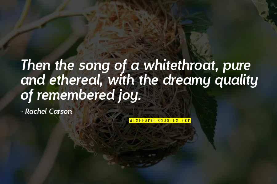 Antiseptics Slow Quotes By Rachel Carson: Then the song of a whitethroat, pure and Antiseptics Slow Quotes By Rachel Carson: Then the song of a whitethroat, pure and