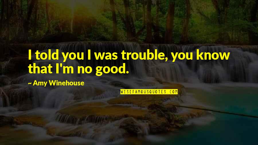 Antisthenes Guesthouse Quotes By Amy Winehouse: I told you I was trouble, you know