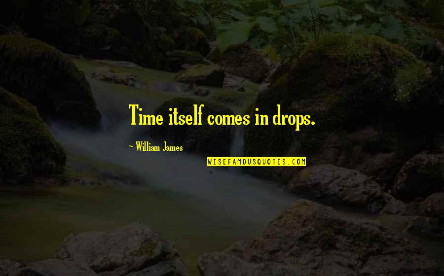 Antiterrorism Level Quotes By William James: Time itself comes in drops.
