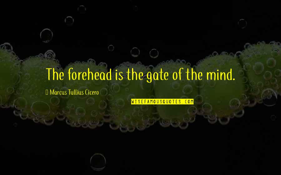 Antitheses Quotes By Marcus Tullius Cicero: The forehead is the gate of the mind.