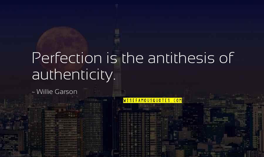 Antithesis Quotes By Willie Garson: Perfection is the antithesis of authenticity.