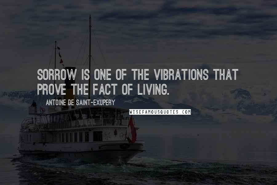 Antoine De Saint-Exupery quotes: Sorrow is one of the vibrations that prove the fact of living.