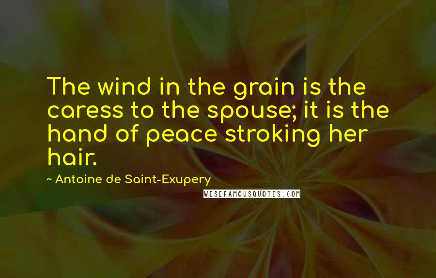 Antoine De Saint-Exupery quotes: The wind in the grain is the caress to the spouse; it is the hand of peace stroking her hair.