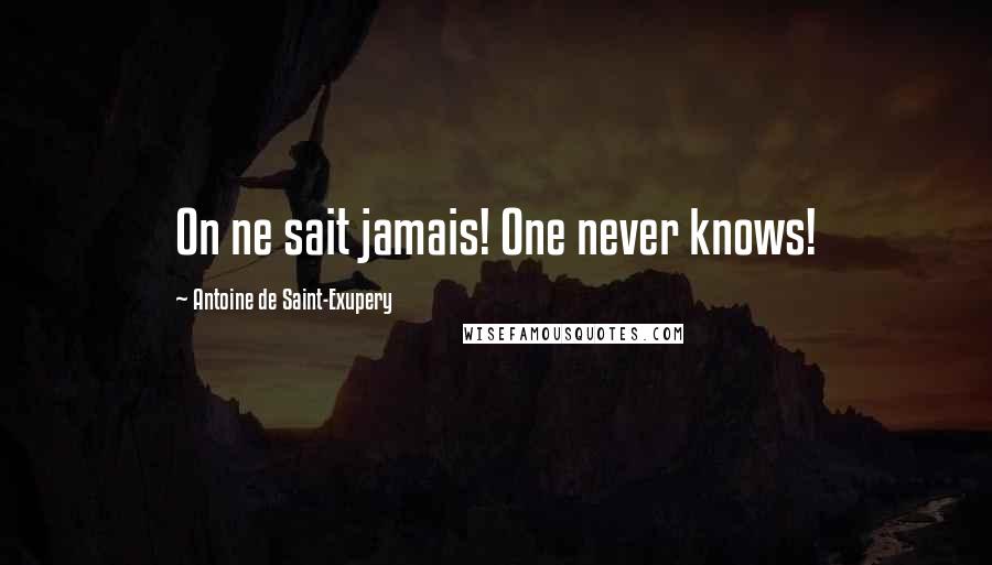 Antoine De Saint-Exupery quotes: On ne sait jamais! One never knows!