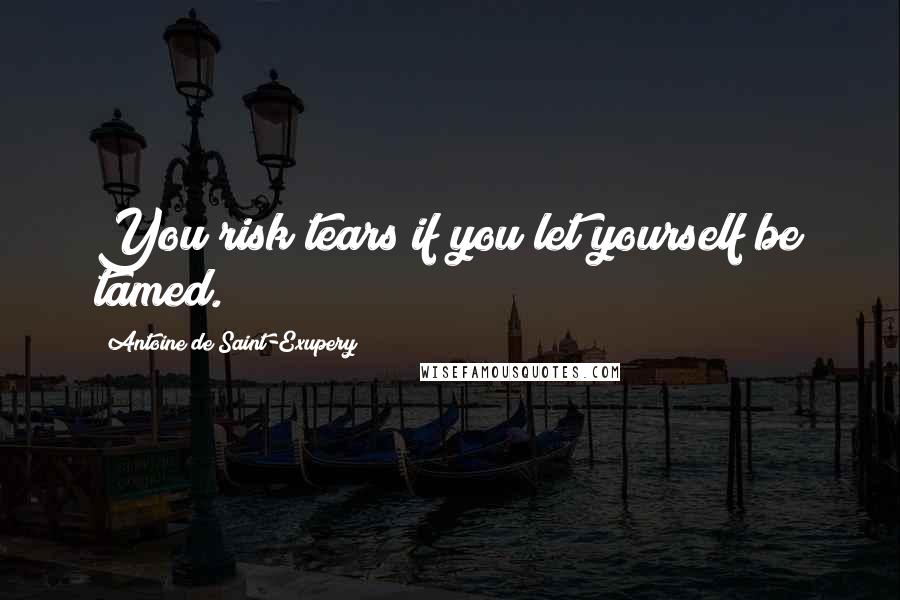 Antoine De Saint-Exupery quotes: You risk tears if you let yourself be tamed.