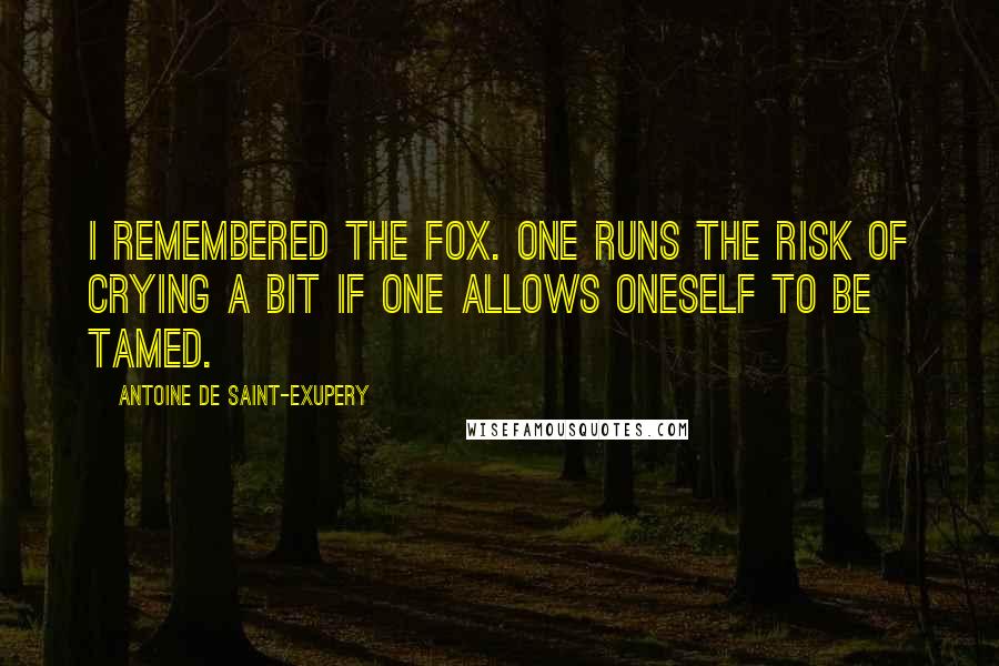 Antoine De Saint-Exupery quotes: I remembered the fox. One runs the risk of crying a bit if one allows oneself to be tamed.