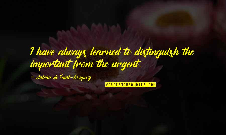Antoine De Saint Quotes By Antoine De Saint-Exupery: I have always learned to distinguish the important