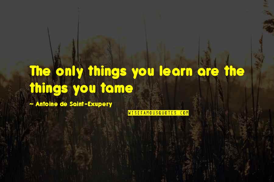 Antoine De Saint Quotes By Antoine De Saint-Exupery: The only things you learn are the things