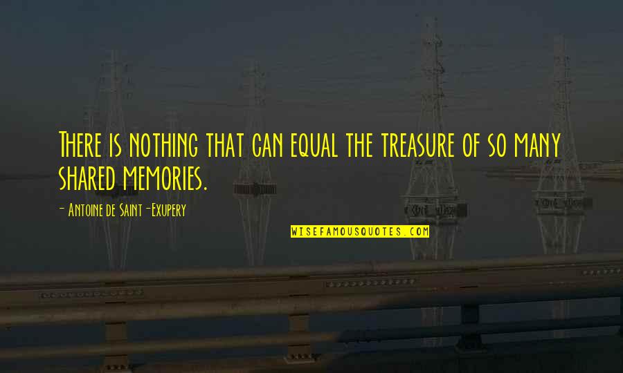 Antoine De Saint Quotes By Antoine De Saint-Exupery: There is nothing that can equal the treasure