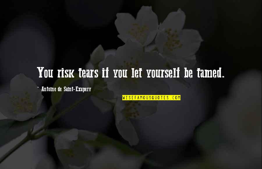 Antoine De Saint Quotes By Antoine De Saint-Exupery: You risk tears if you let yourself be