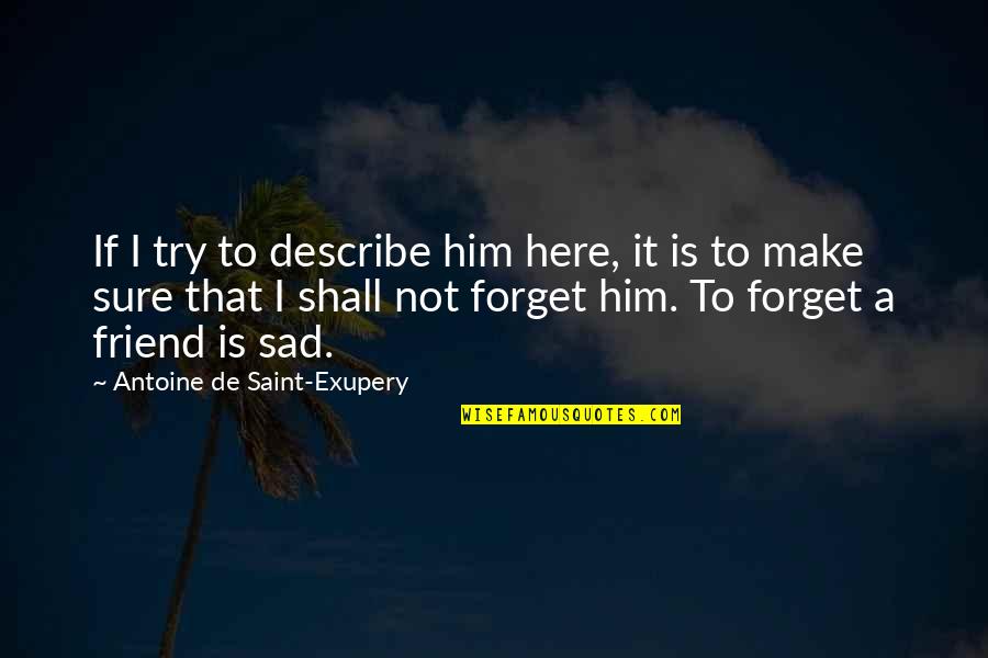 Antoine Exupery Quotes By Antoine De Saint-Exupery: If I try to describe him here, it