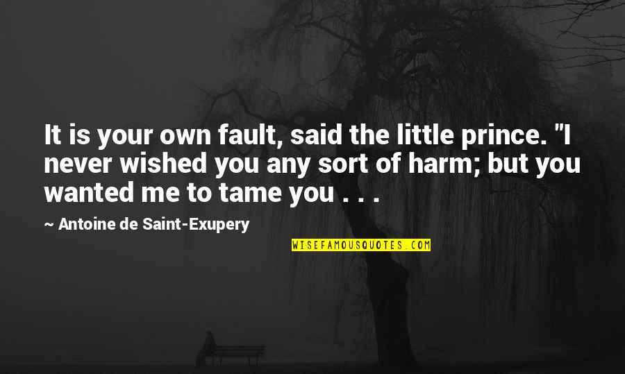 Antoine Exupery Quotes By Antoine De Saint-Exupery: It is your own fault, said the little