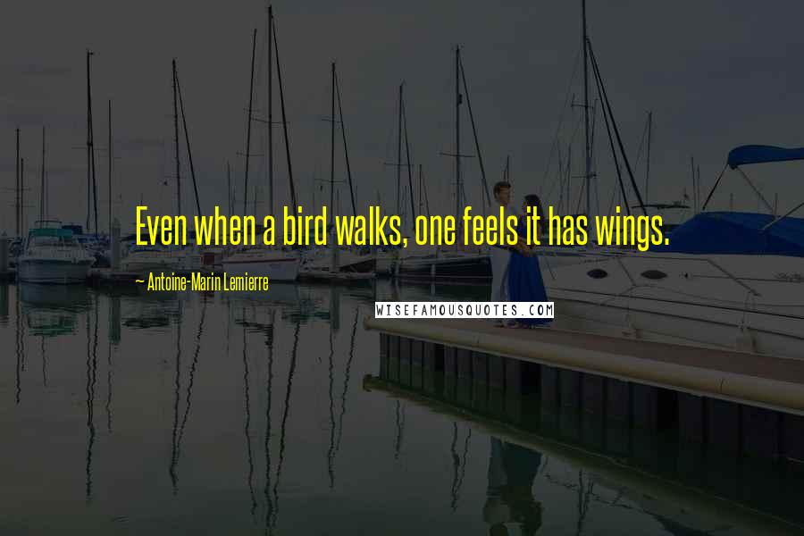 Antoine-Marin Lemierre quotes: Even when a bird walks, one feels it has wings.