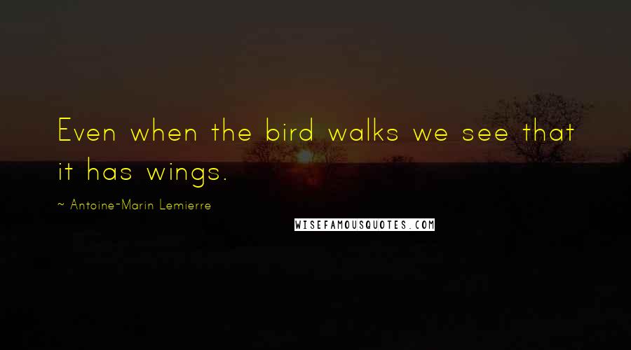 Antoine-Marin Lemierre quotes: Even when the bird walks we see that it has wings.