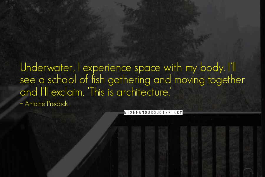 Antoine Predock quotes: Underwater, I experience space with my body. I'll see a school of fish gathering and moving together and I'll exclaim, 'This is architecture.'