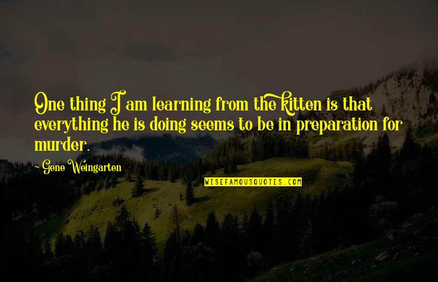 Antoinetta Mckoy Quotes By Gene Weingarten: One thing I am learning from the kitten Antoinetta Mckoy Quotes By Gene Weingarten: One thing I am learning from the kitten