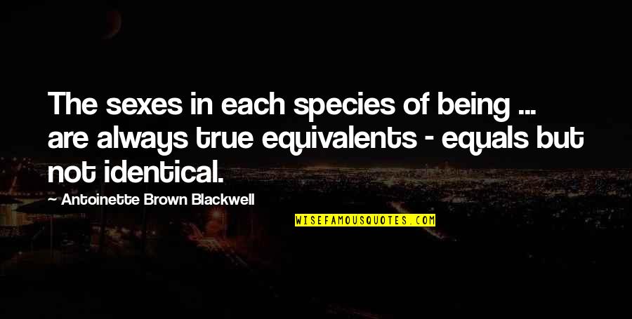 Antoinette Blackwell Quotes By Antoinette Brown Blackwell: The sexes in each species of being ...