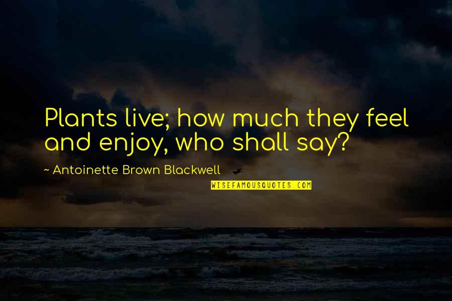 Antoinette Blackwell Quotes By Antoinette Brown Blackwell: Plants live; how much they feel and enjoy,