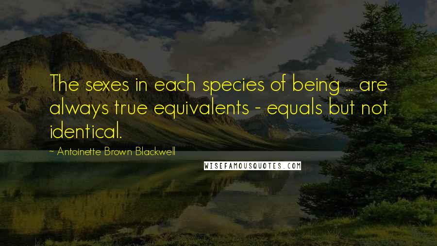 Antoinette Brown Blackwell quotes: The sexes in each species of being ... are always true equivalents - equals but not identical.