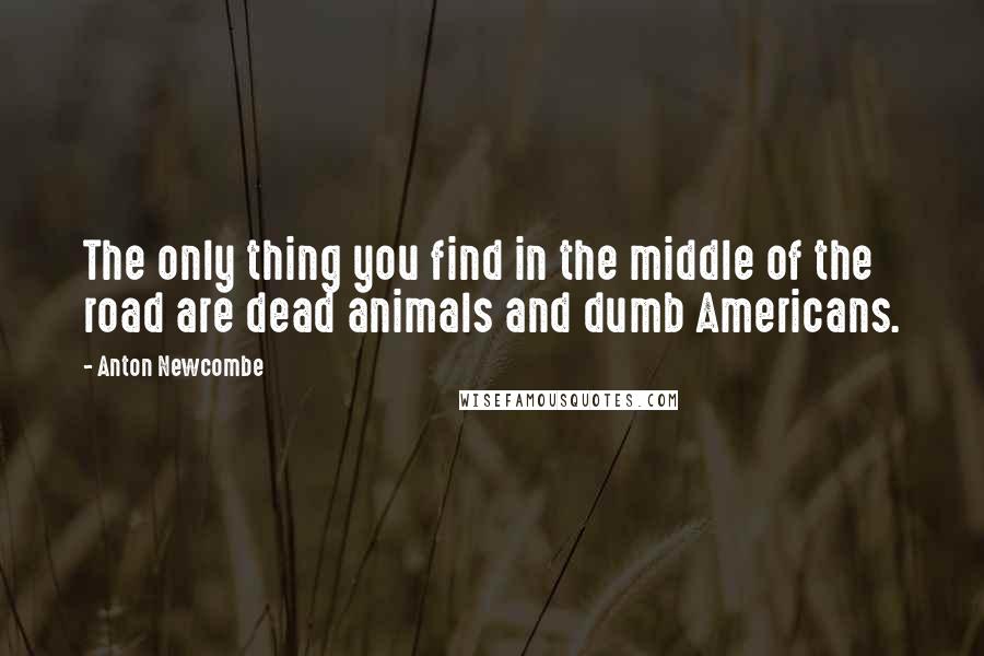 Anton Newcombe quotes: The only thing you find in the middle of the road are dead animals and dumb Americans.