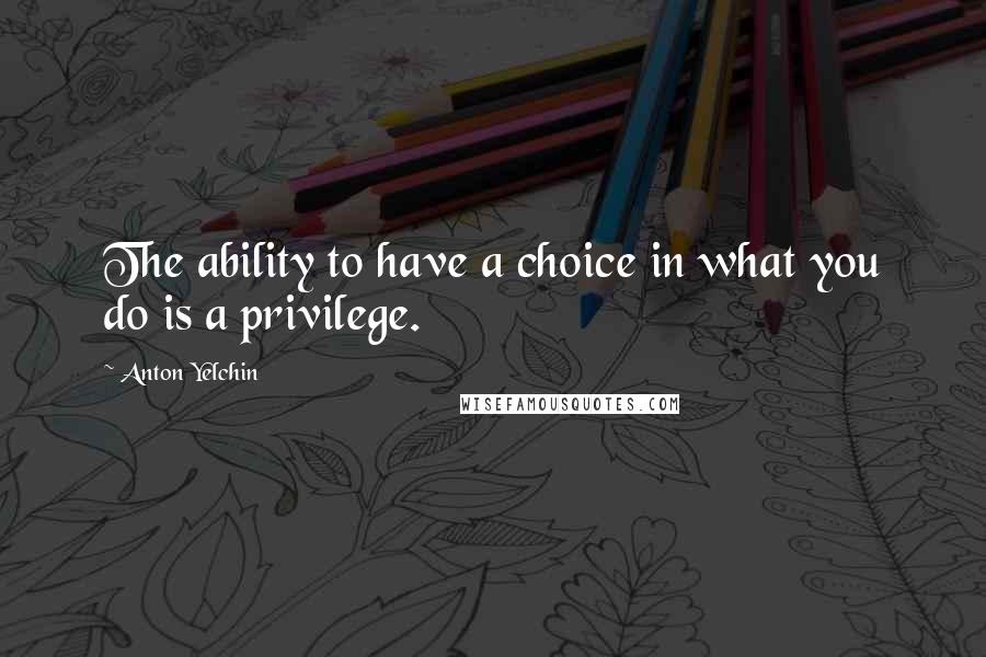 Anton Yelchin quotes: The ability to have a choice in what you do is a privilege.