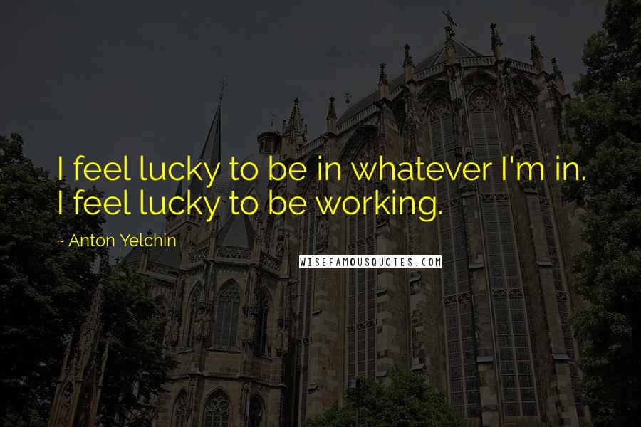 Anton Yelchin quotes: I feel lucky to be in whatever I'm in. I feel lucky to be working.