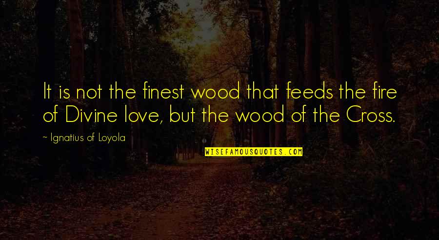 Antonela Svetic Quotes By Ignatius Of Loyola: It is not the finest wood that feeds
