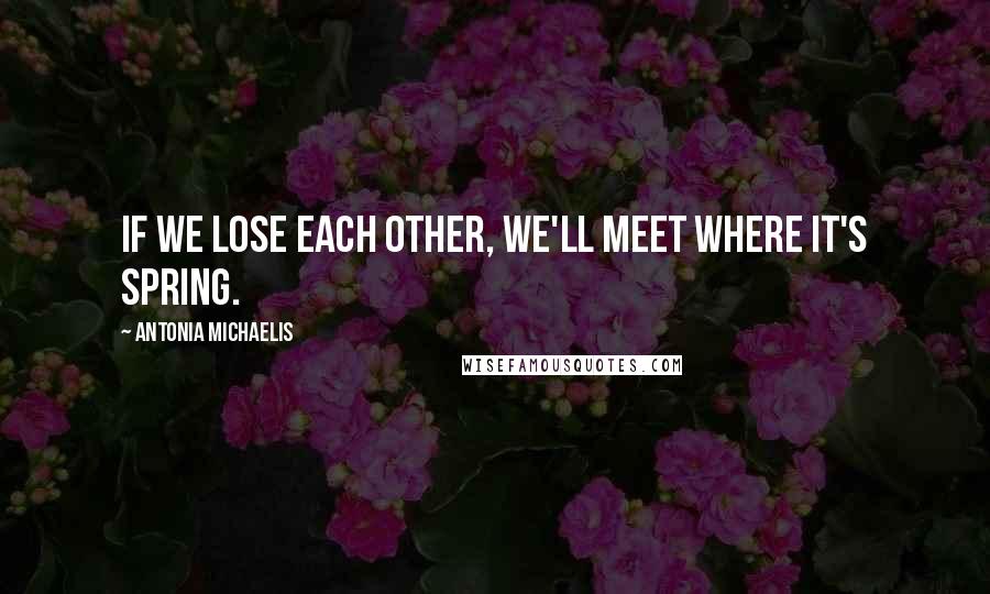 Antonia Michaelis quotes: If we lose each other, we'll meet where it's spring.