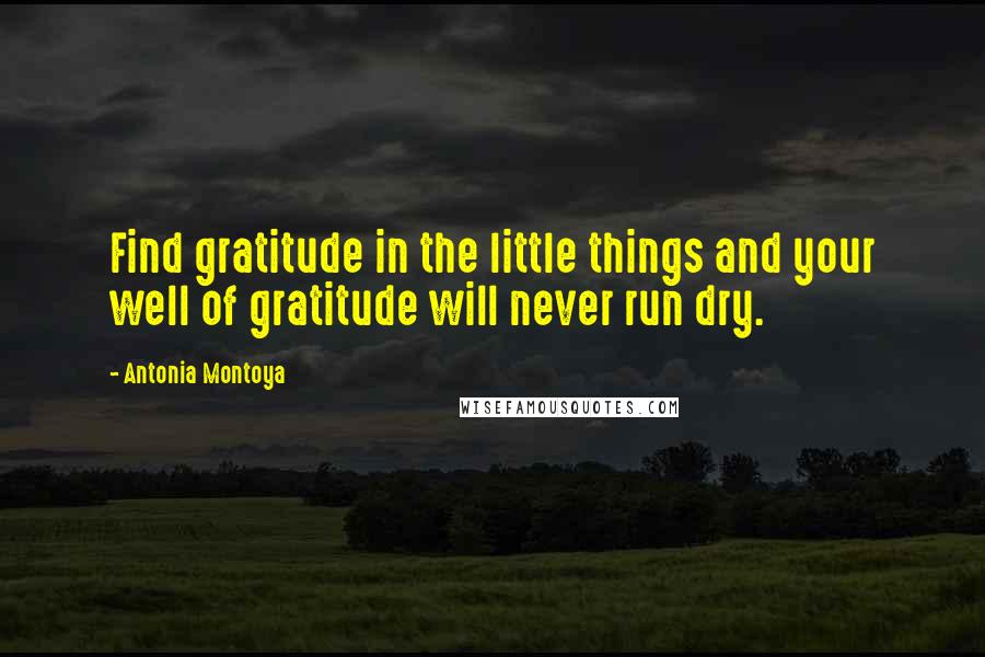 Antonia Montoya quotes: Find gratitude in the little things and your well of gratitude will never run dry.