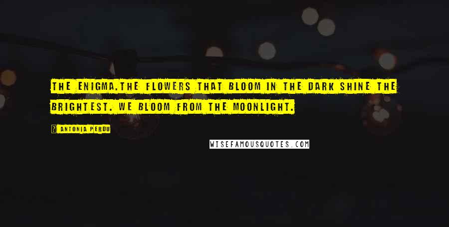 Antonia Perdu quotes: The enigma.The flowers that bloom in the dark shine the brightest. We bloom from the moonlight.