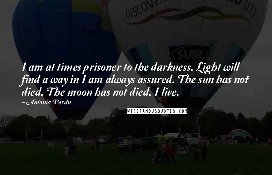 Antonia Perdu quotes: I am at times prisoner to the darkness. Light will find a way in I am always assured. The sun has not died. The moon has not died. I live. Antonia Perdu quotes: I am at times prisoner to the darkness. Light will find a way in I am always assured. The sun has not died. The moon has not died. I live.