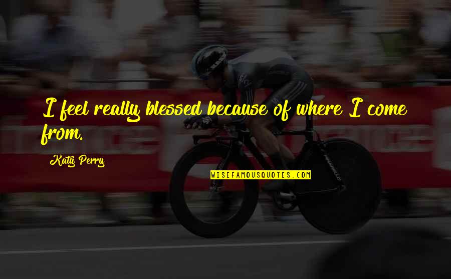 Antonijevic Zoran Quotes By Katy Perry: I feel really blessed because of where I Antonijevic Zoran Quotes By Katy Perry: I feel really blessed because of where I