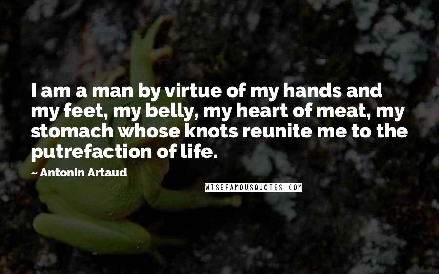 Antonin Artaud quotes: I am a man by virtue of my hands and my feet, my belly, my heart of meat, my stomach whose knots reunite me to the putrefaction of life.