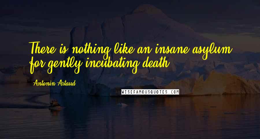 Antonin Artaud quotes: There is nothing like an insane asylum for gently incubating death.