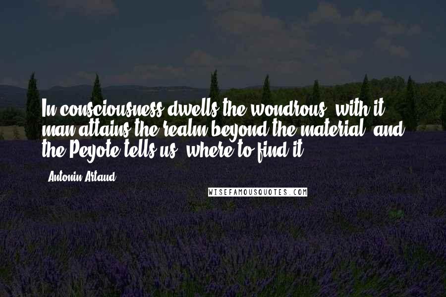 Antonin Artaud quotes: In consciousness dwells the wondrous, with it man attains the realm beyond the material, and the Peyote tells us, where to find it. Antonin Artaud quotes: In consciousness dwells the wondrous, with it man attains the realm beyond the material, and the Peyote tells us, where to find it.